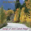 John Calvin Paige - Any New Road